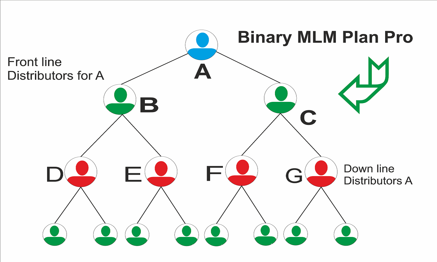 How Binary MLM Software Works