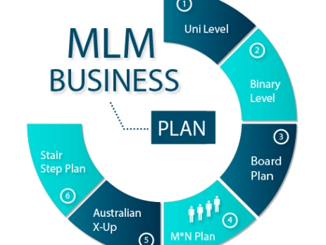 Mlm Software Developer