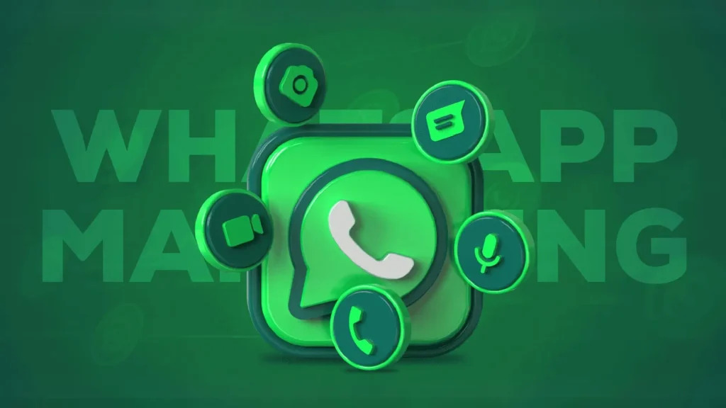 WhatsApp API Service Provider