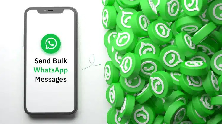 WhatsApp Bulk Message