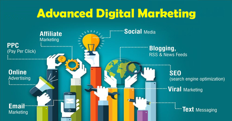 advanced Digital Marketing Course in Moradabad