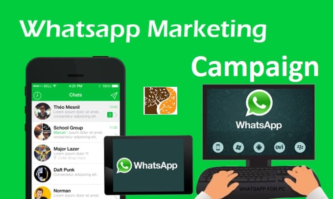 WhatsApp Campaign